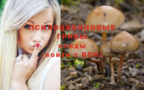 прущая мука Армянск