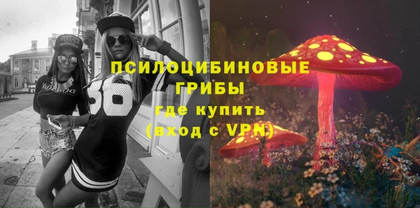 прущая мука Армянск