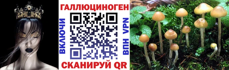Галлюциногенные грибы Cubensis  хочу   Вязники 